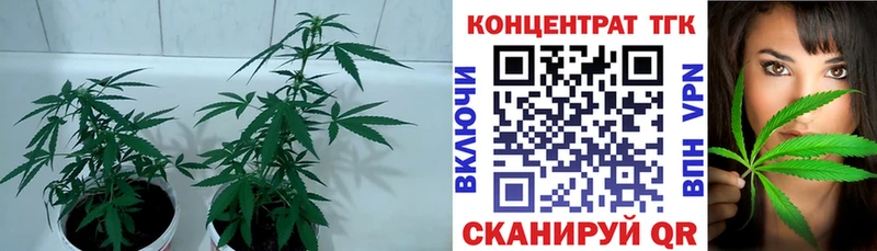 магазин продажи наркотиков  Ярославль  ТГК вейп с тгк 
